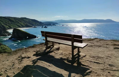 Wooden bench overlooking a peaceful coastal landscape